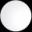 element-tiktok-ads-placement-1-white-dot-xl